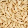 Quality and Sell Pine nut