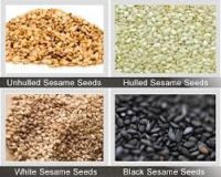Quality and Sell sesame seeds,chia seeds,coriander ,sunflower seeds,flax seeds,Anise Seeds