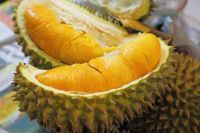 Fresh Musang King Durian From Vietnam-best Selling Product And High Quality (huunghi Fruit)