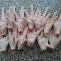 Export Grade Halal Frozen Whole Chicken Chicken Feet Chicken Paw