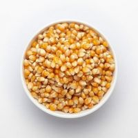 White Corn, Yellow Corn Other Grain