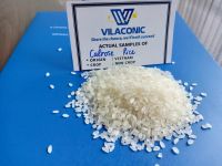 New Crop CALROSE RICE from Vietnamese manufacturer with the most competitive price