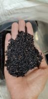 Premium Quality Black Rice With The Most Competitive Rice From Vietnamese Manufacturer