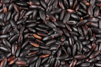 Premium Quality Black Rice With The Most Competitive Rice From Vietnamese Manufacturer