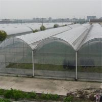 Tunnel farming plastic greenhouses From China