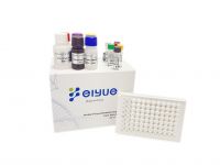 Human Anti-immunodeficiency Virus Antibody,HIV