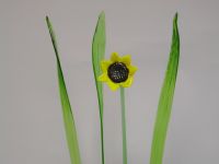 glass flowers