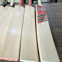 Cricket Bats