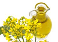 Canola oil for sale