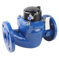 Woltman Water Meter|Woltman Helix Water