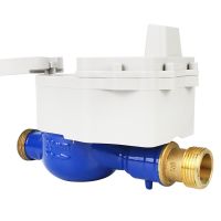 LoRaWAN Water Meter|LoRaWAN Smart Water
