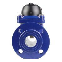 Irrigation Water Meter