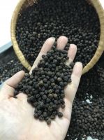 Vietnam Black Pepper 550g/l FAQ