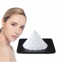 Cosmetic Raw Materials CAS 150-76-5 Mequinol Crystals 4-Methoxyphenol From China