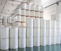 Raw Material Mother Jumbo Roll for Making Toilet Paper/Napkin/Facial Tissue From China