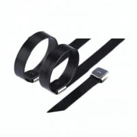 201 304 316 Stainless Steel PVC Coated Cable Ties From China