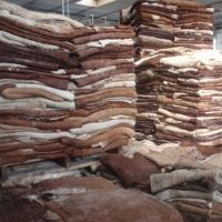 Wet Salted Cow Hides for sale