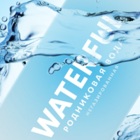 Spring Water 1l In Pure Pak