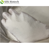 Factroy Supply Pharmaceutical Intermediate CAS 125541-22-2