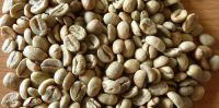 Arabica coffee bean Screen 18 color sorter