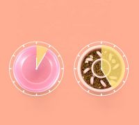 Anti Choking Pet Slow Feeder Pet Food Bowl From China