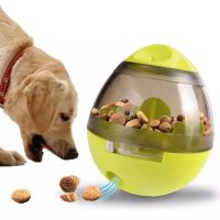 Treat Ball Dog To...