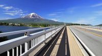Pedestrian & Bridge Guardrail Systems
