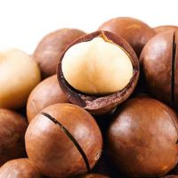 Macadamia Nuts For Sale