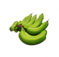 Fresh Natural Organic Selling Top Grade B789 Cavendish Banana Cheap Price Low Moq Hot Sale Bulk Wh