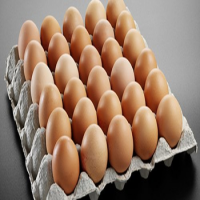 Organic Product Chicken Eggs Open Barn Fresh From Farm High Quality