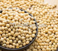 Soya beans