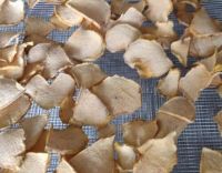 Konjac Chips (Semi Oven Dried)