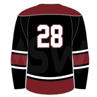 Good Quality Ice Hockey Jersey Adult Size Ice Hockey Jersey Best Price Ice Hockey Jersey From Pakistan