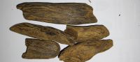 Agarwood