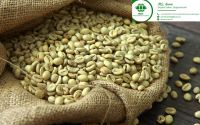 green coffee beans