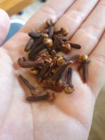 Cloves