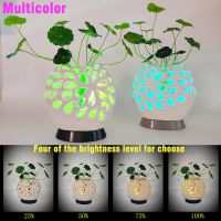 Hollow Vase Remote Control Night Light For Table Kids Bedroom Night Lamp Multicolor Colorful Led Lights Gift Room Decor