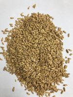 Oats Food And Feed
