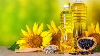 Sunflower Oil