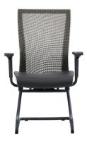 Meeting Chair(2007E-46