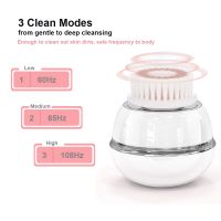 Electric Facial Cleansing Brush for Perfect Face Skin From China