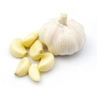 https://cn.tradekey.com/product_view/Premium-Garlic-Fresh-Garlic-For-Export-9833125.html