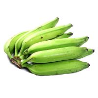 Tropical Green Banana Farming Tropical Green Banana Farming