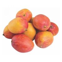 Fresh Mango For Sell In Usa