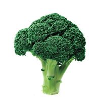 Fresh Broccoli On Sale 