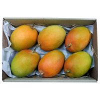 Fresh Mango For Sell Amazon