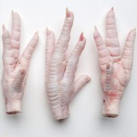 chicken feet and paws for sale belgium