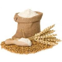 bread wheat flour for sale