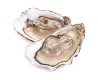British Shellfish For Sale