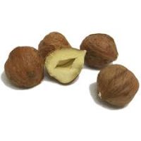 Chocolate Covered Hazelnuts For Sale